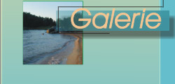 Galerie